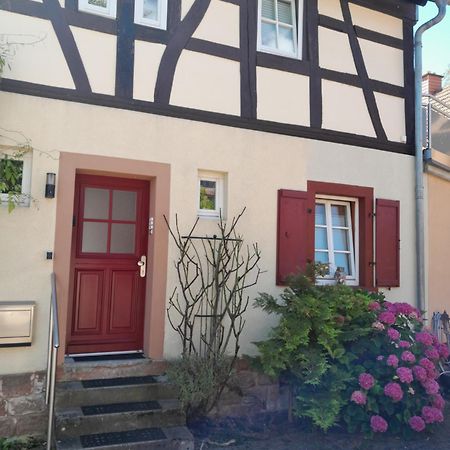 Ferienwohnung Piccolino Jockgrim 외부 사진